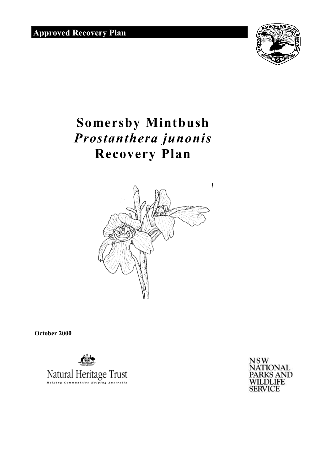 Somersby Mintbush Prostanthera Junonis Recovery Plan