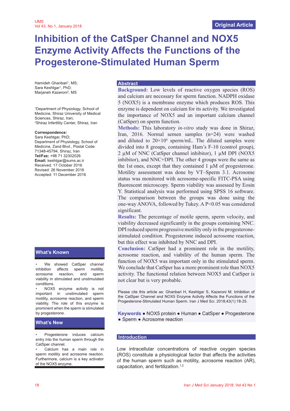 Inhibition of the Catsper Channel and NOX5 Enzyme Activity Affects the Functions of the Progesterone-Stimulated Human Sperm