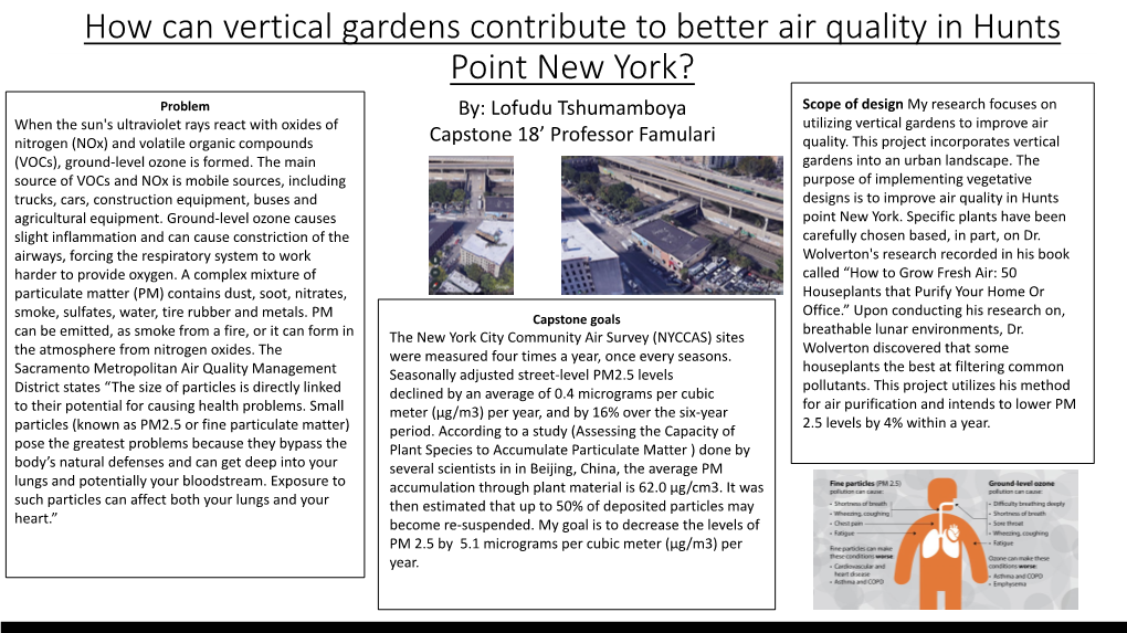 How Can Vertical Gardens Contribute to Better Air Quality in Hunts Point