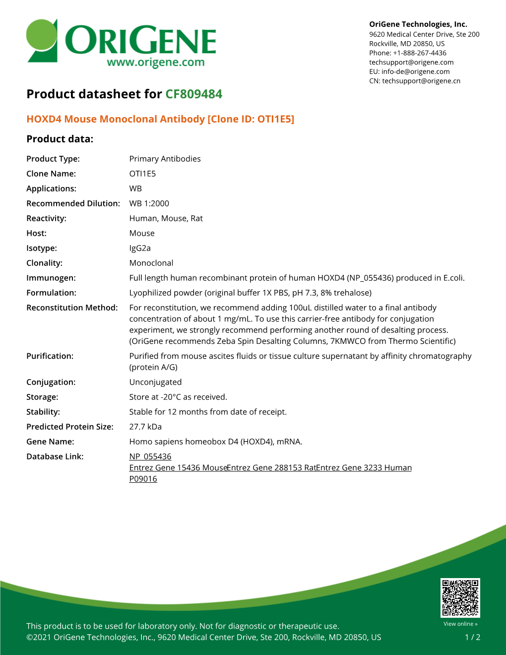 HOXD4 Mouse Monoclonal Antibody [Clone ID: OTI1E5] Product Data