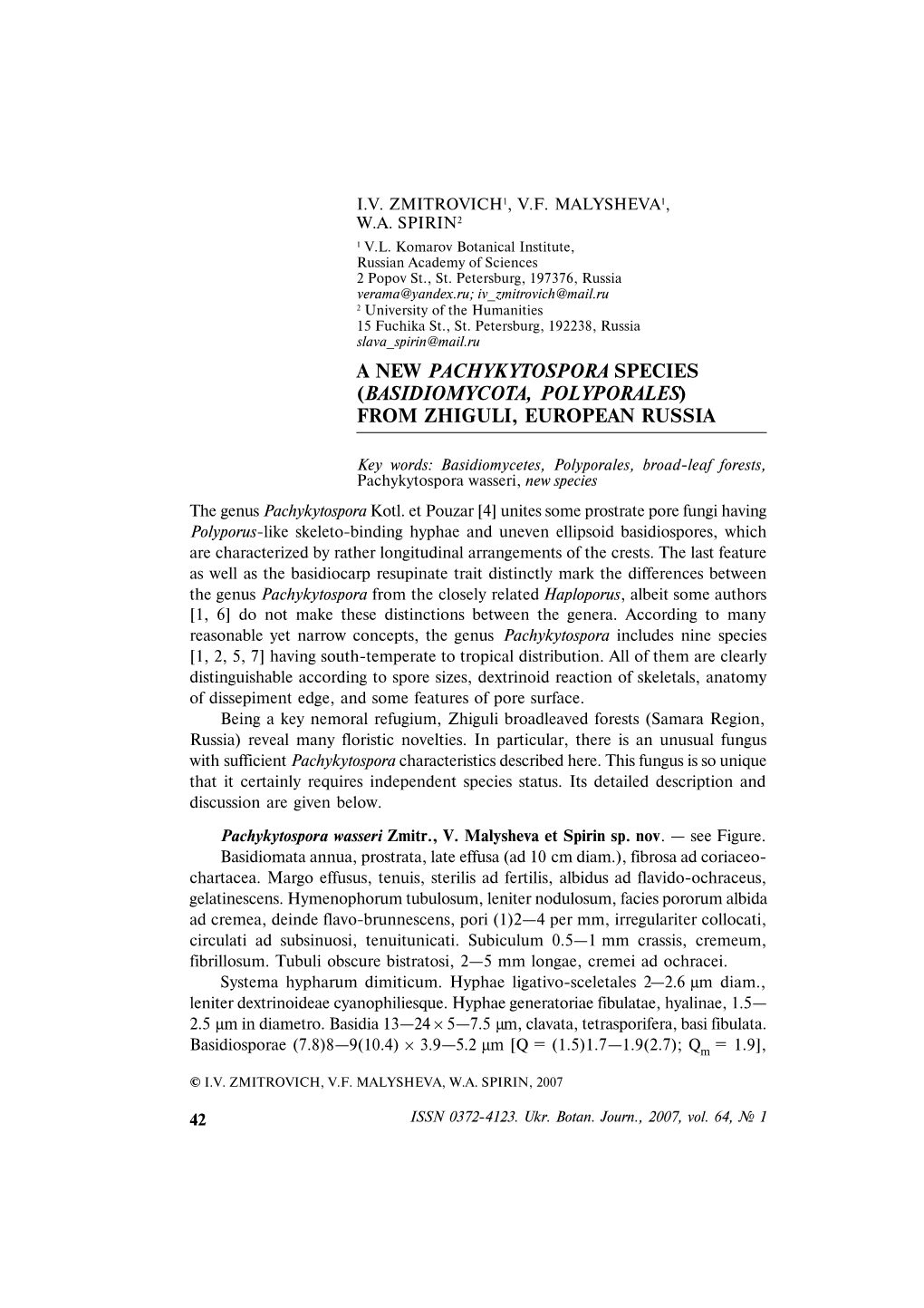 A New Pachykytospora Species (Basidiomycota, Polyporales) from Zhiguli, European Russia