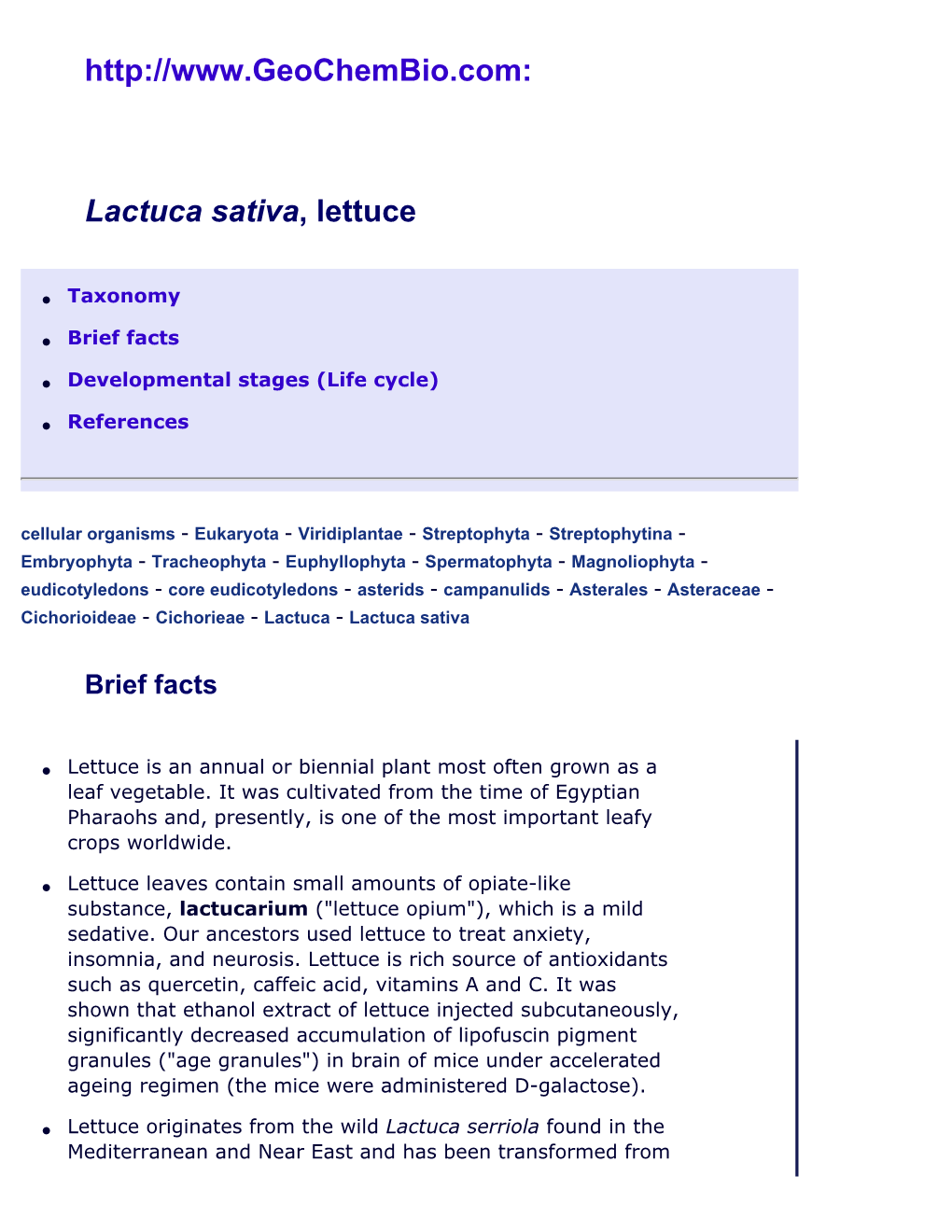 Lactuca Sativa (Lettuce): Brief Facts, Life Cycle, General Biology at Geochembio