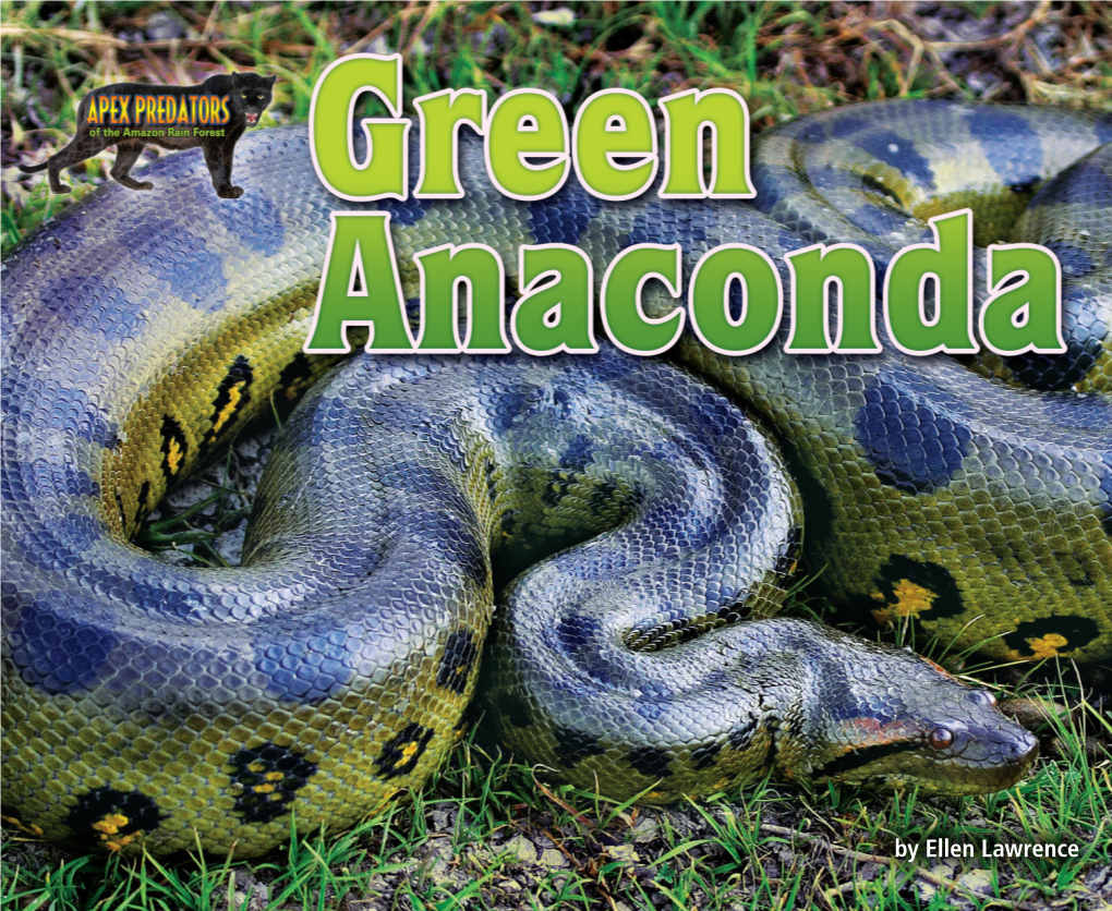 Green Anaconda Green