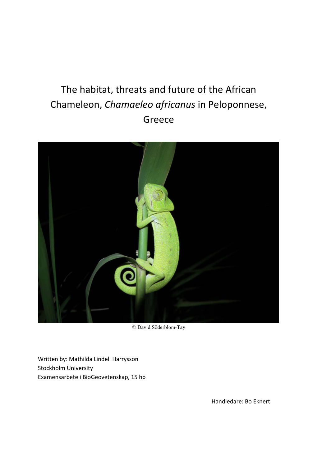 The Habitat, Threats and Future of the African Chameleon, Chamaeleo Africanus in Peloponnese, Greece