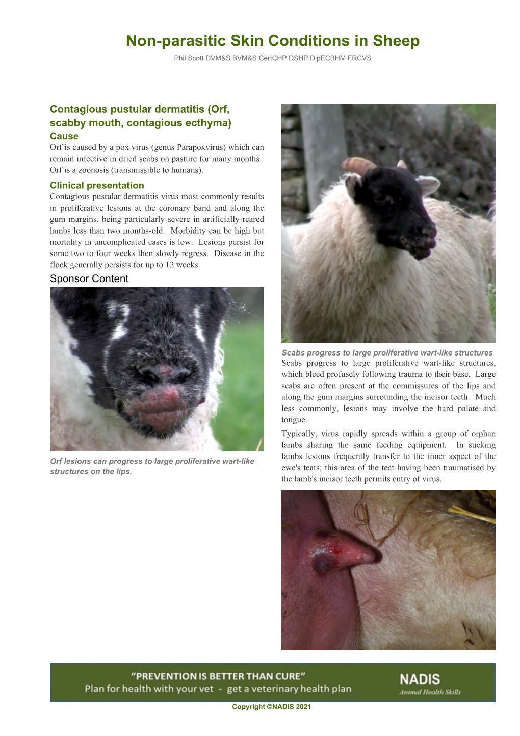 Non-Parasitic Skin Conditions in Sheep Phil Scott DVM&S BVM&S Certchp DSHP Dipecbhm FRCVS