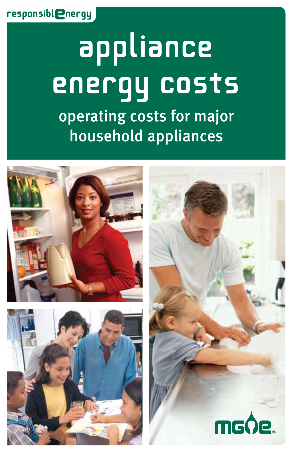 Appliance Energy Costs