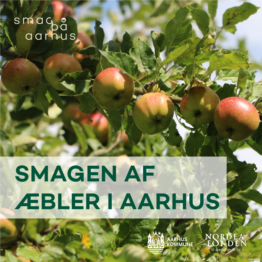 Smagen Af Æbler I Aarhus