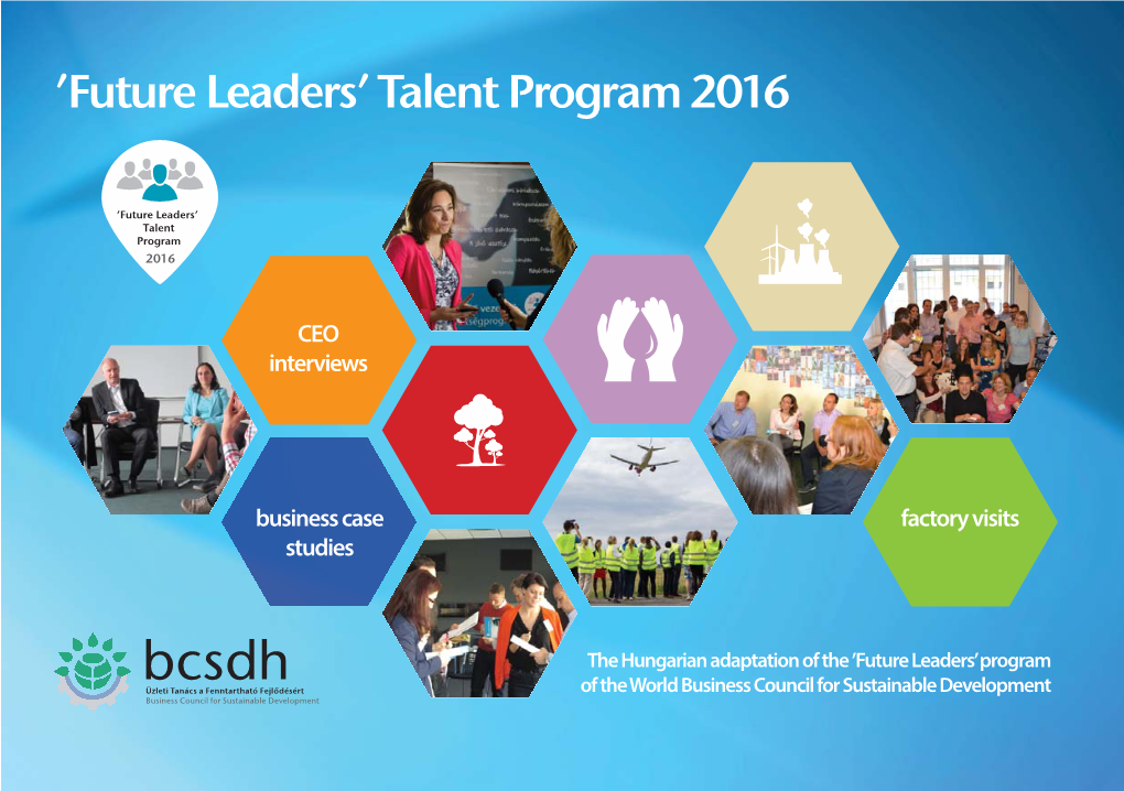 Future Leaders’ Talent Program 2016