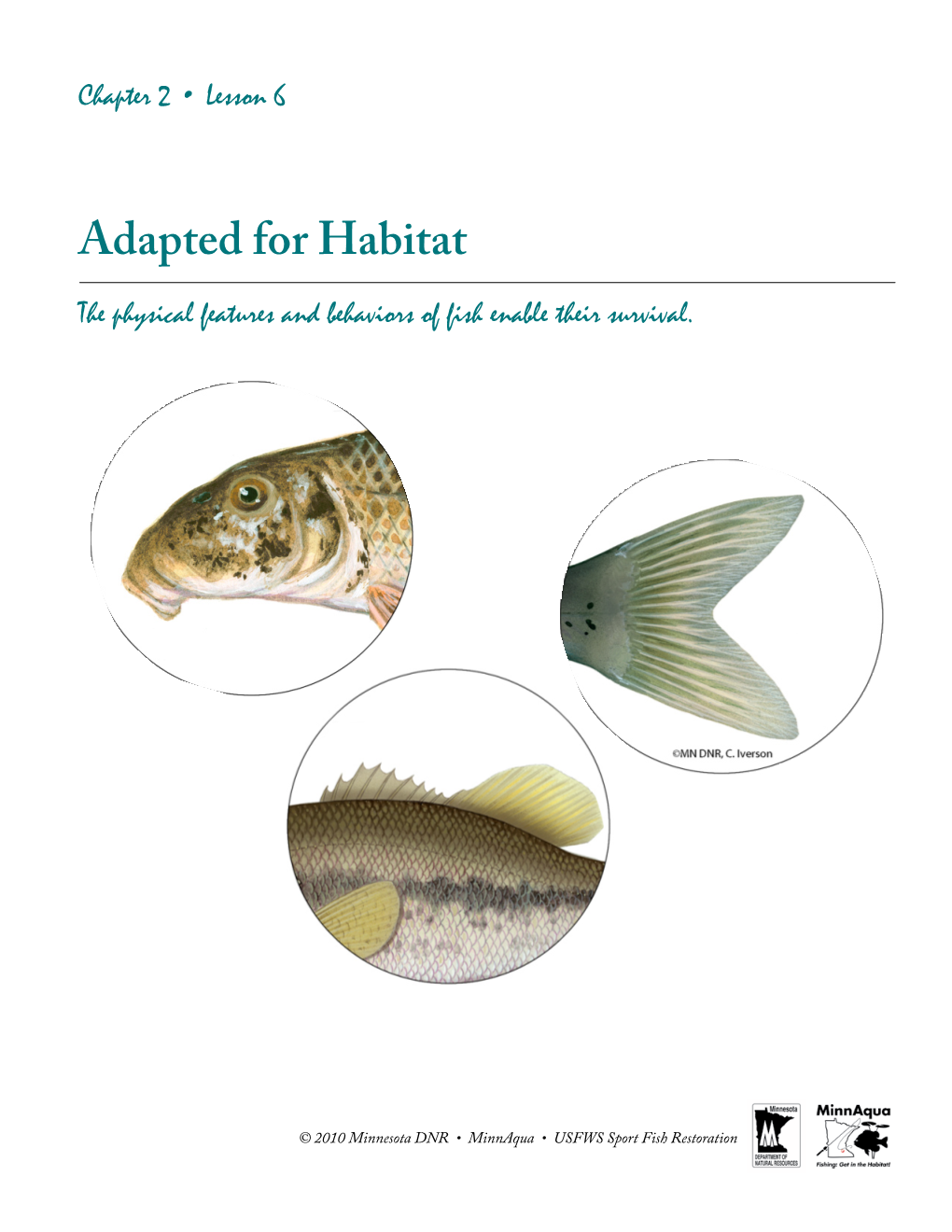 Minnaqua Fishing: Get in the Habitat! Lesson