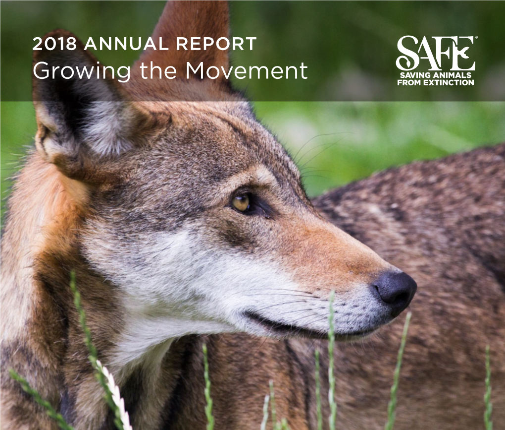 2018 SAFE Annual Report Encourages Them to Redouble Their Efforts, and Others to Join Them