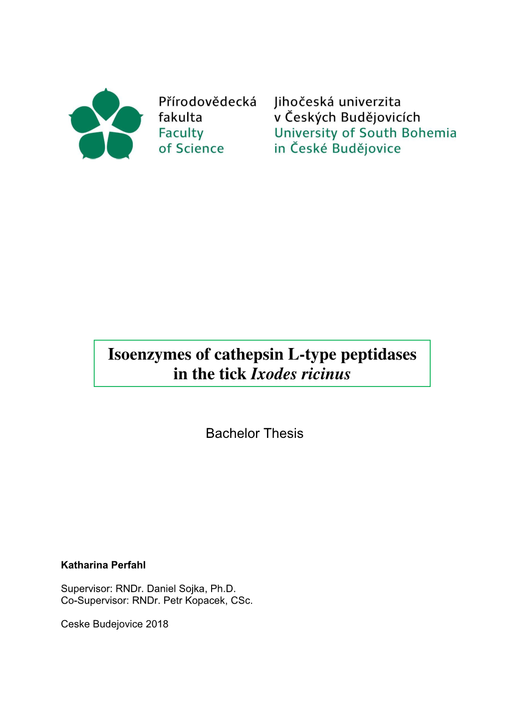 Isoenzymes of Cathepsin L-Type Peptidases in the Tick Ixodes Ricinus