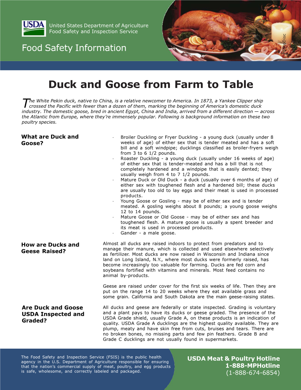 Duck and Goose from Farm to Table