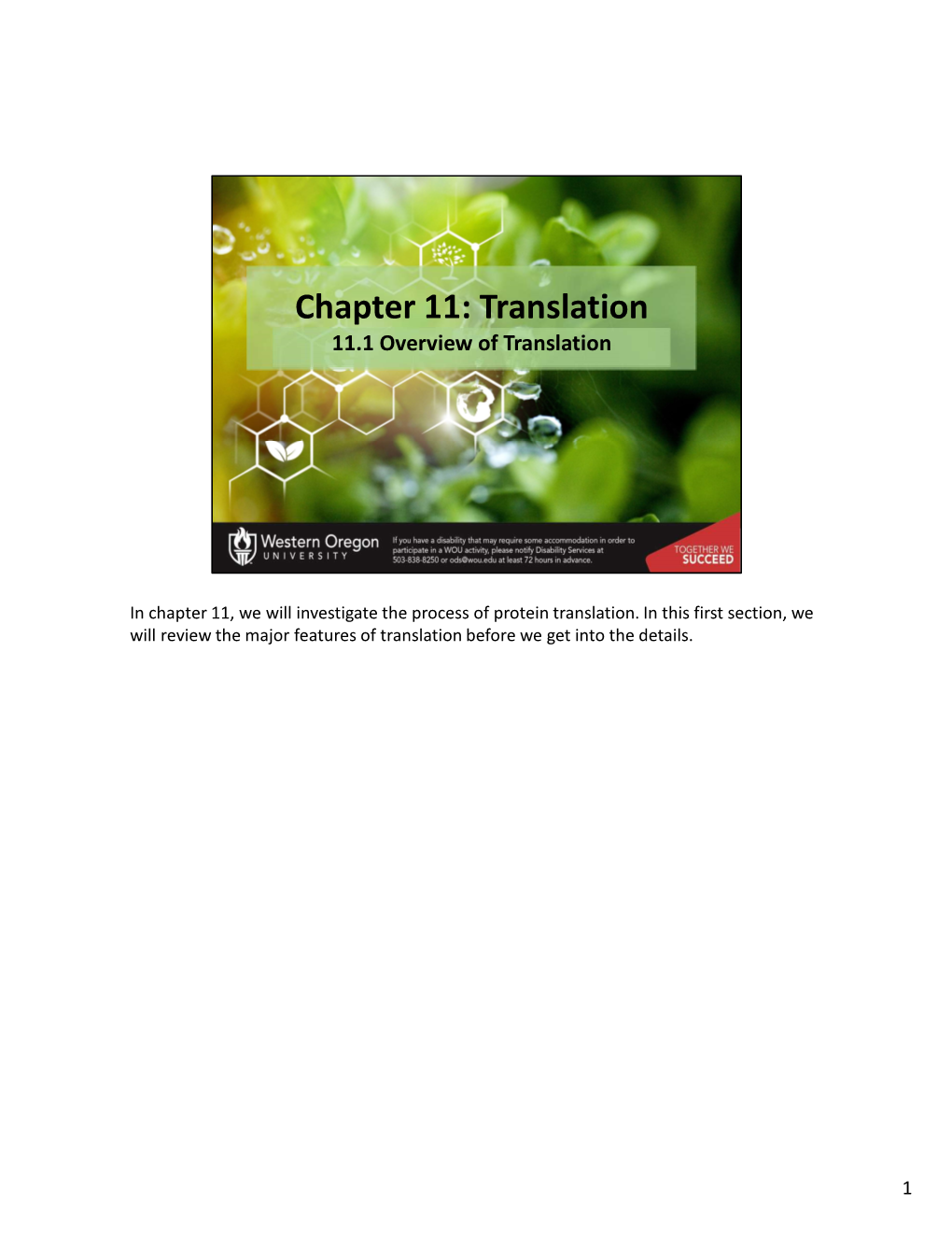 Chapter 11: Translation 11.1 Overview of Translation