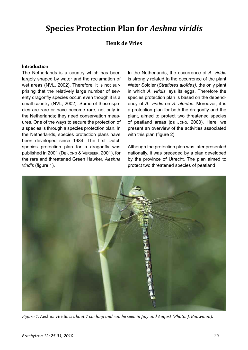 Species Protection Plan for Aeshna Viridis