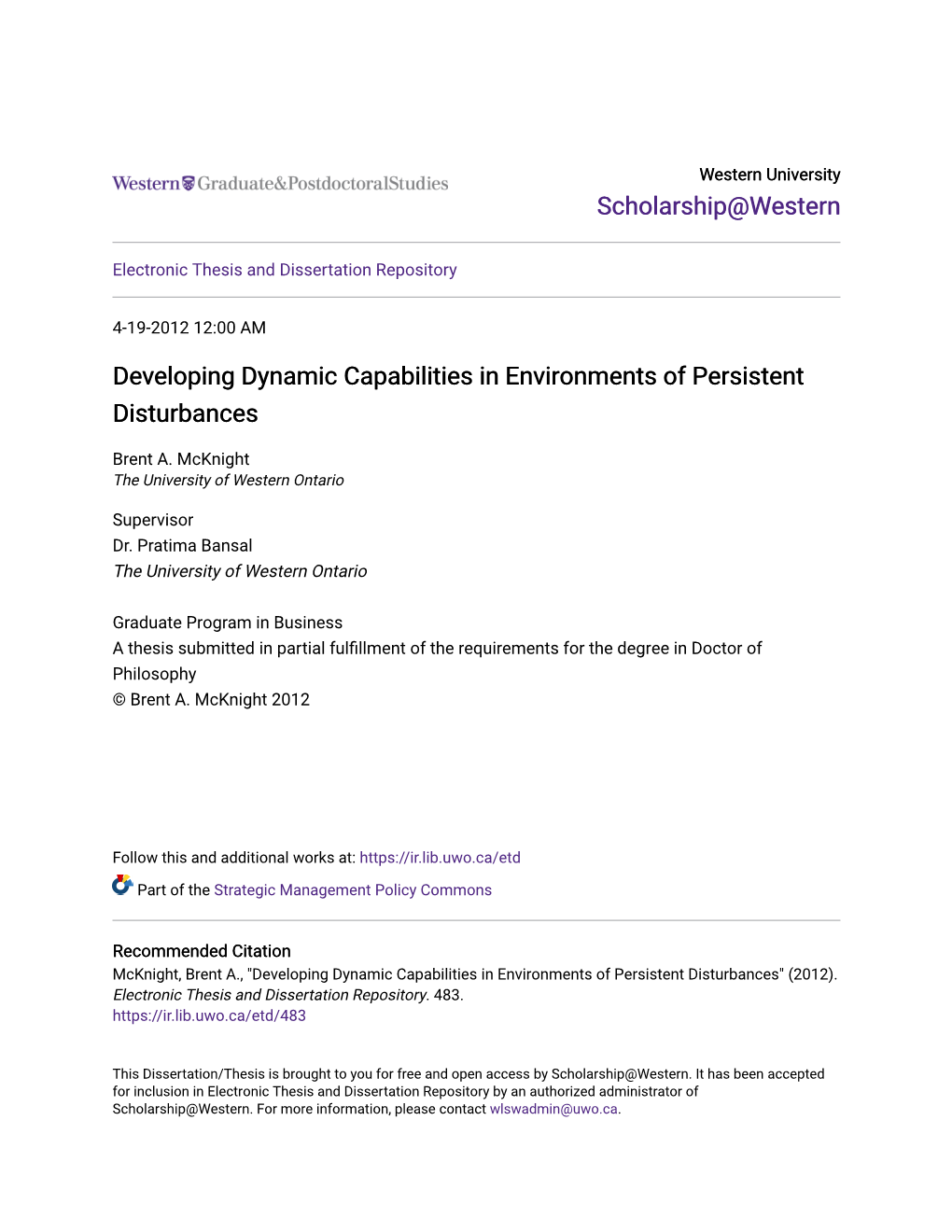 Developing Dynamic Capabilities in Environments of Persistent Disturbances