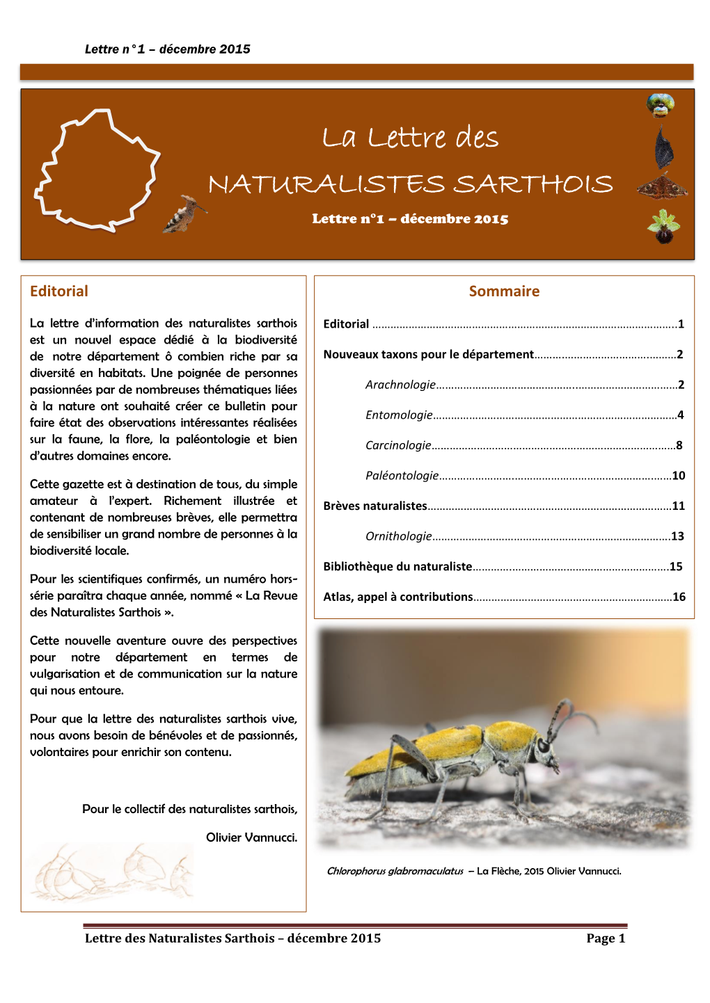 La Lettre Des NATURALISTES SARTHOIS Lettre N°1 – Décembre 2015