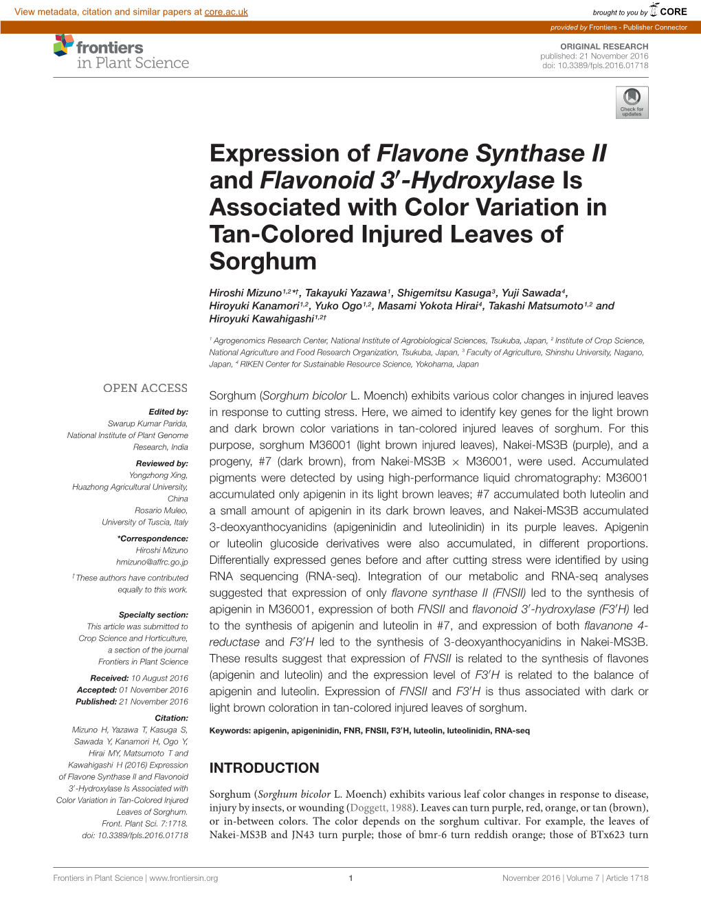 Expression of Flavone Synthase II and Flavonoid 3'-Hydroxylase Is