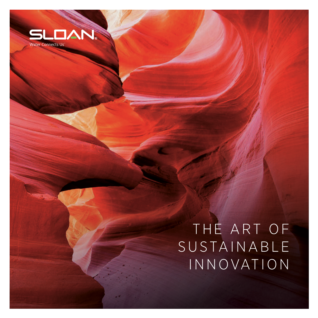 The Art of Sustainable Innovation