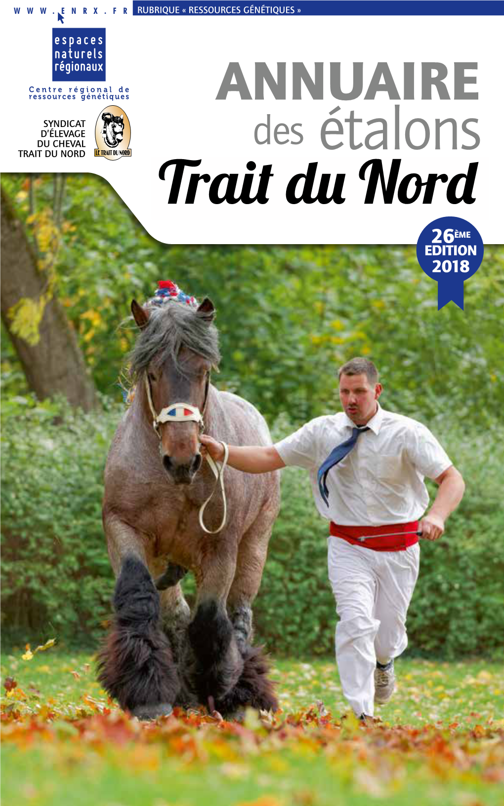 Des Étalons Trait Du Nord