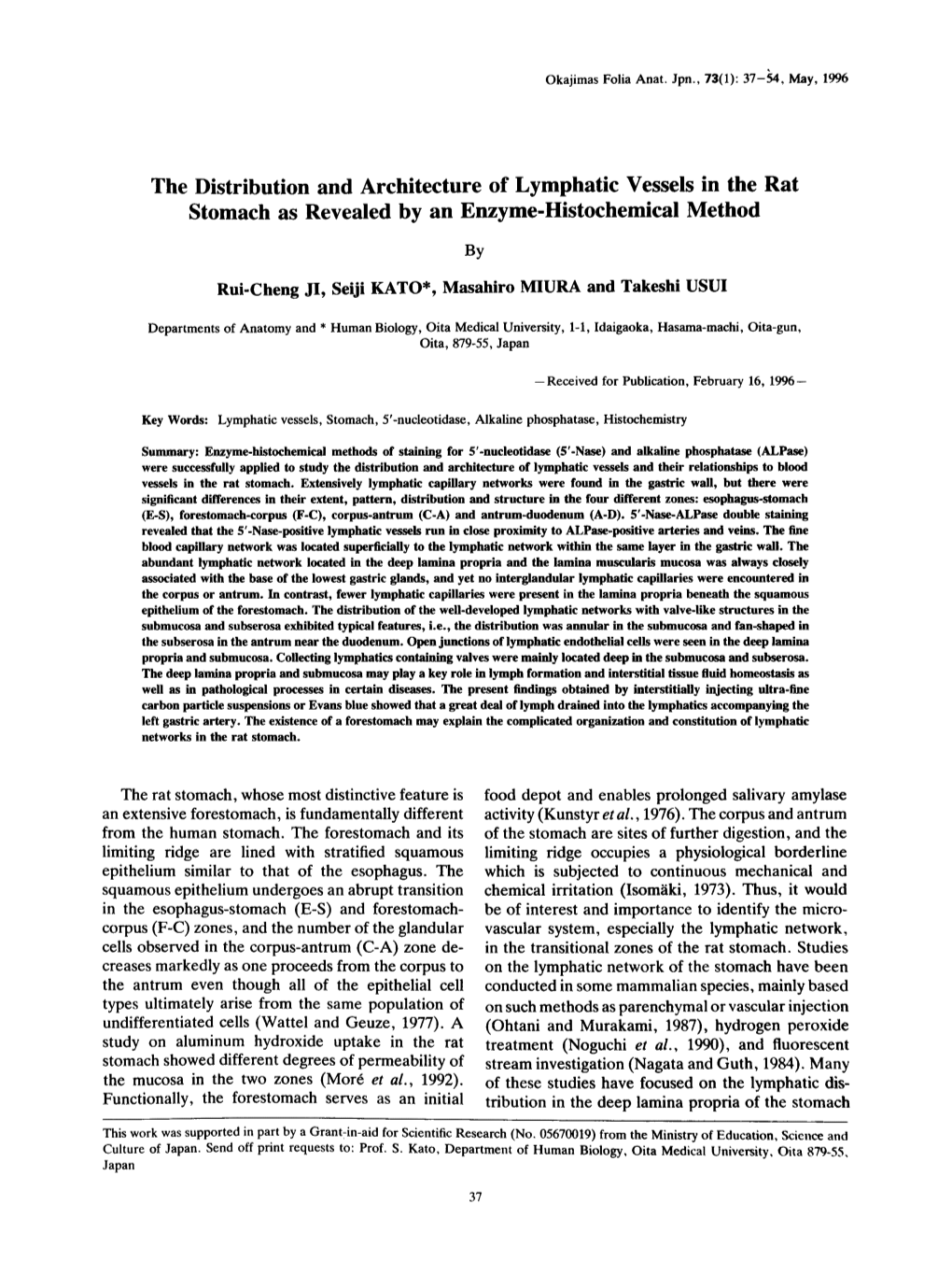 The Distribution and Architecture of Lymphatic Vessels in the Rat Stomach As Revealed by an Enzyme-Histochemical Method Food