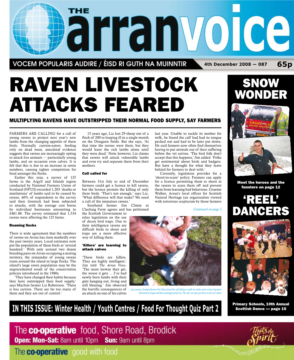 Raven Livestock Attacks Feared