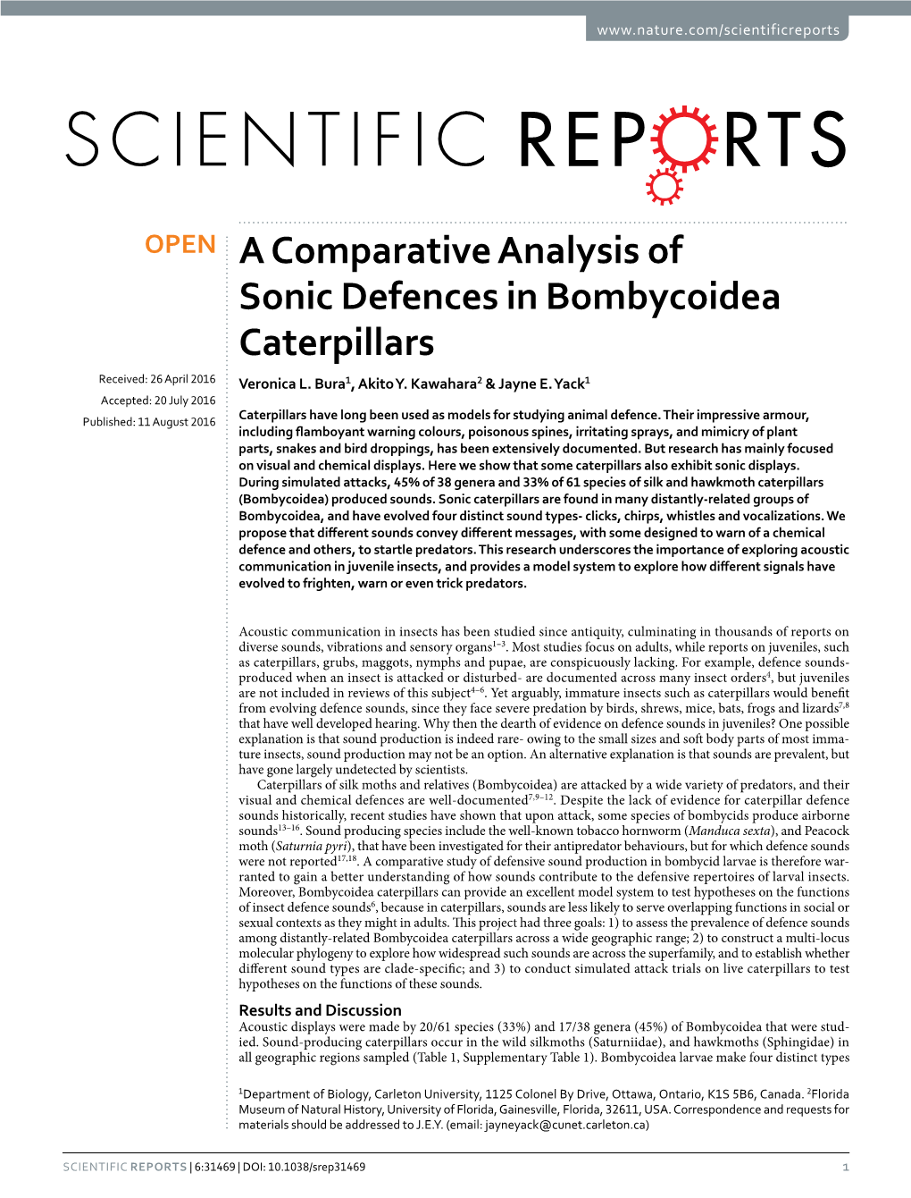 A Comparative Analysis of Sonic Defences in Bombycoidea Caterpillars Received: 26 April 2016 Veronica L