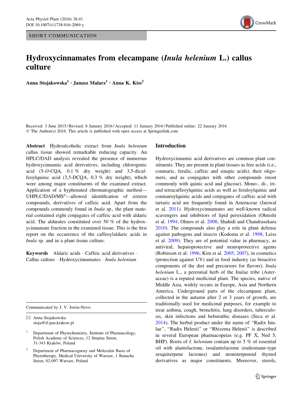 Hydroxycinnamates from Elecampane (Inula Helenium L.) Callus Culture