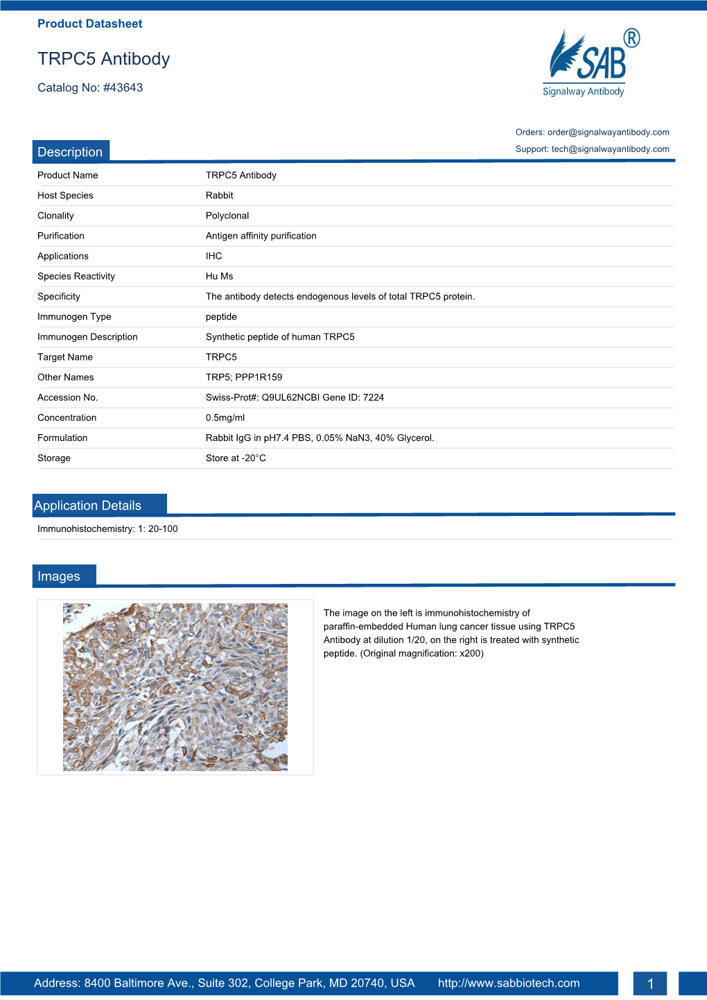 TRPC5 Antibody