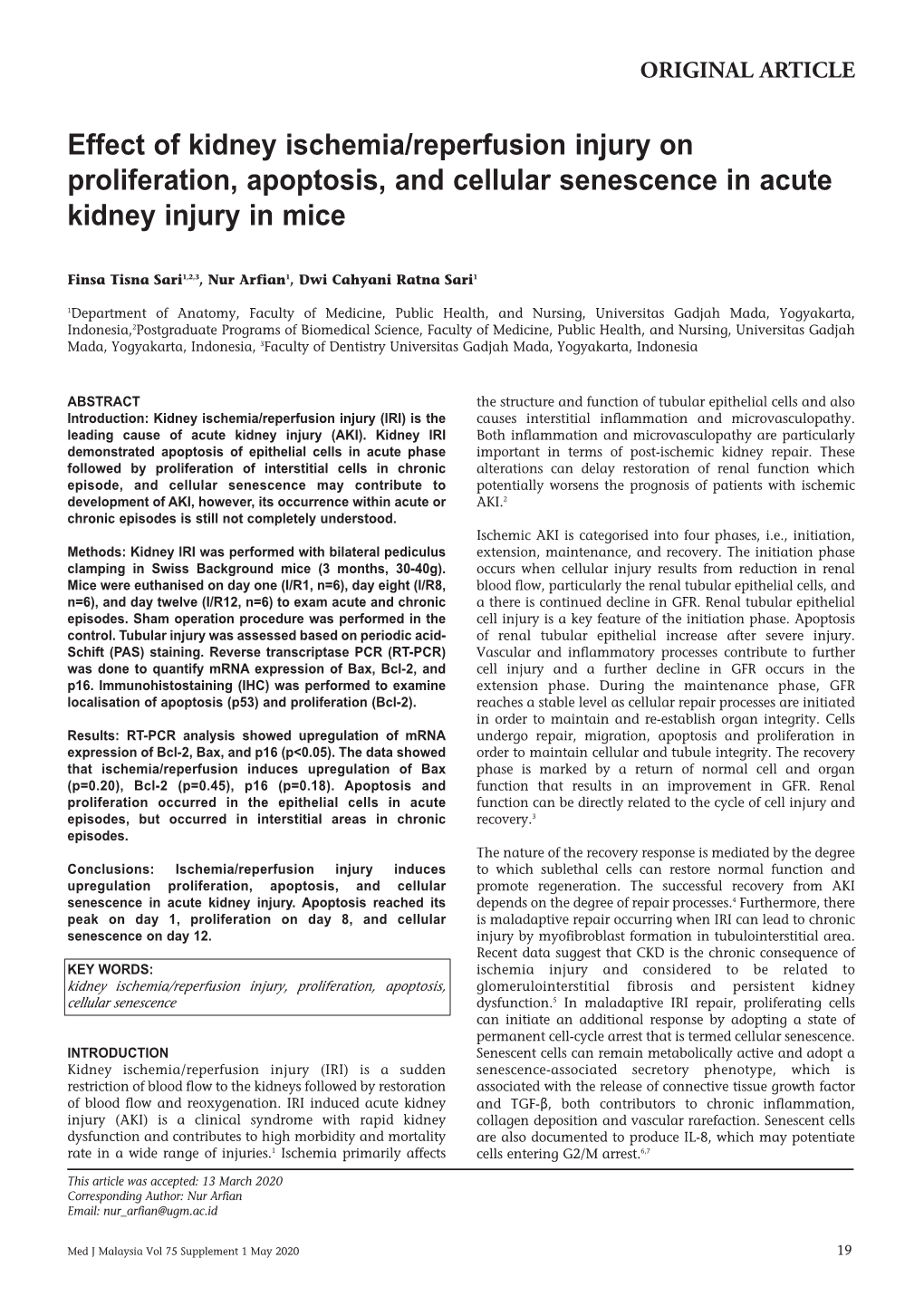 Effect of Kidney Ischemia/Reperfusion Injury on Proliferation, Apoptosis, and Cellular Senescence in Acute Kidney Injury in Mice