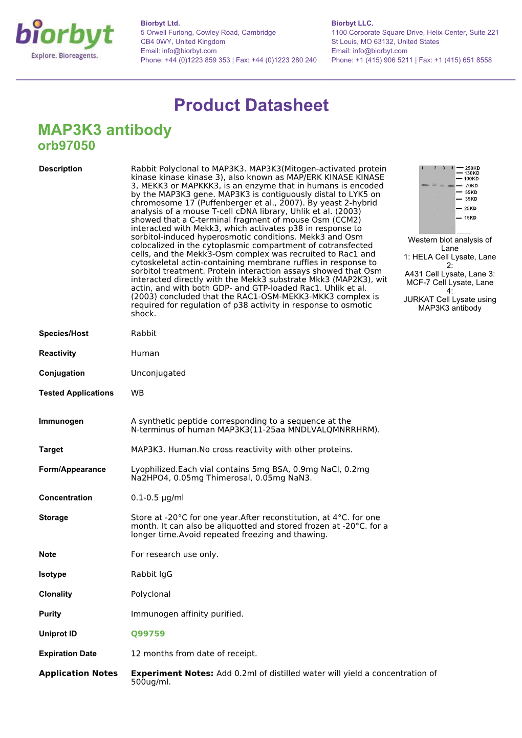 Product Datasheet MAP3K3 Antibody Orb97050
