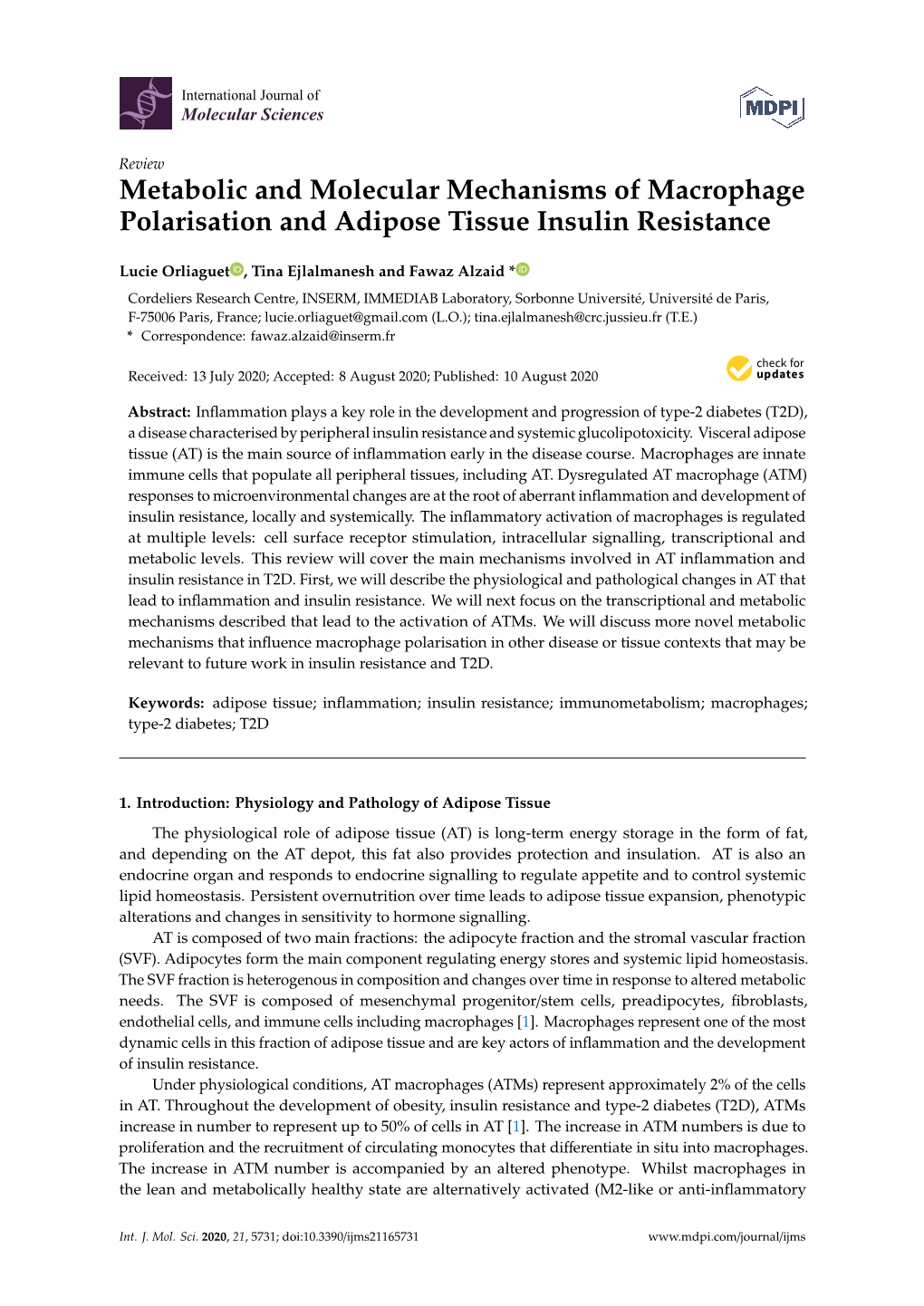 Metabolic and Molecular Mechanisms of Macrophage Polarisation and Adipose Tissue Insulin Resistance
