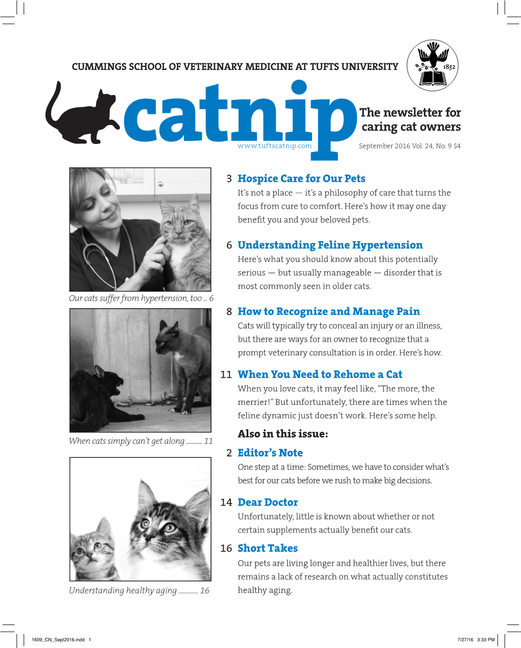 Catnipthe Newsletter for Caring Cat Owners