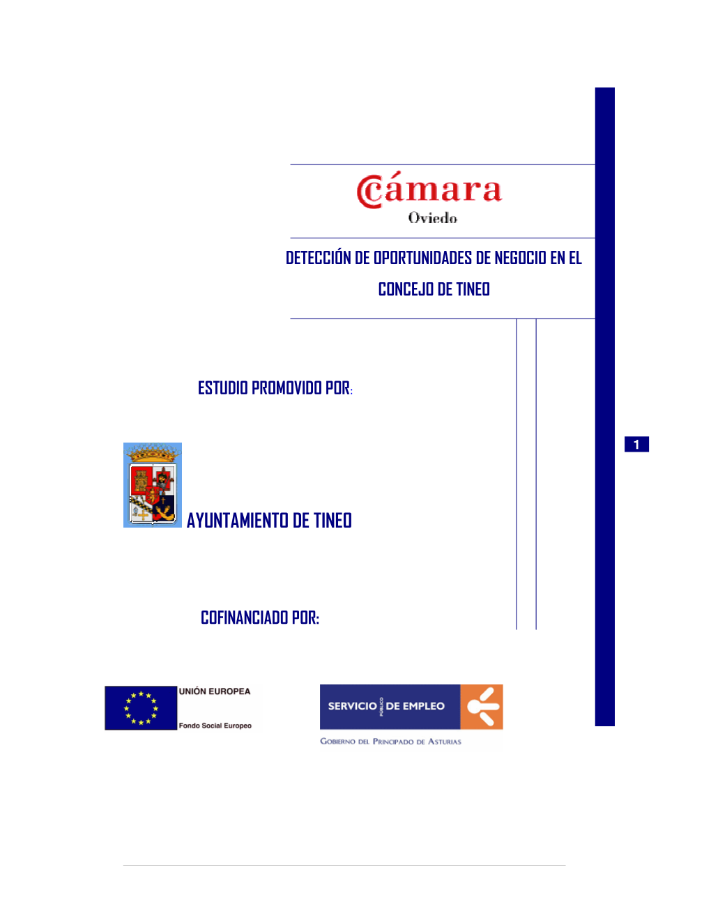 Detección De Oportunidades De Negocio En El Concejo De Tineo Estudio Promovido