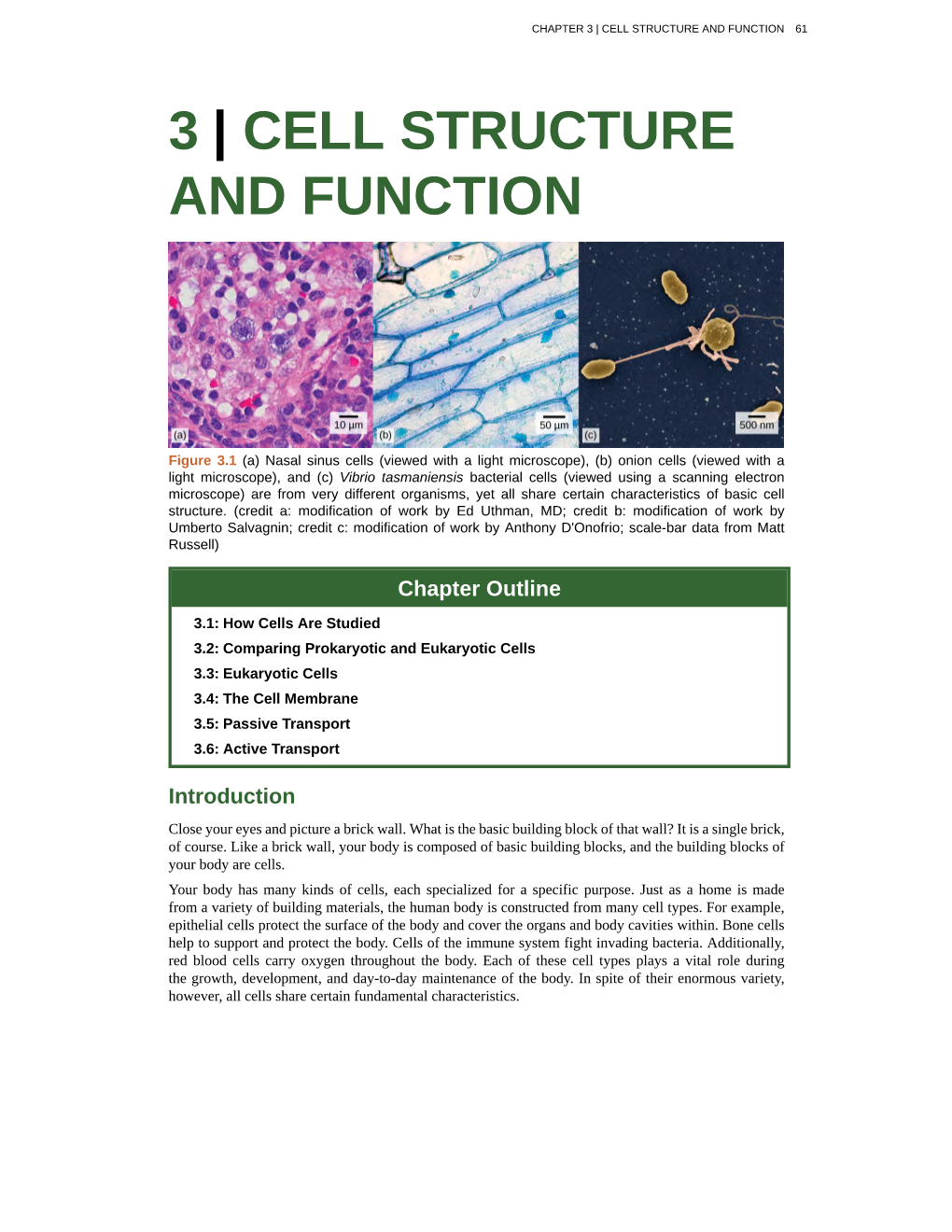 Concepts of Biology