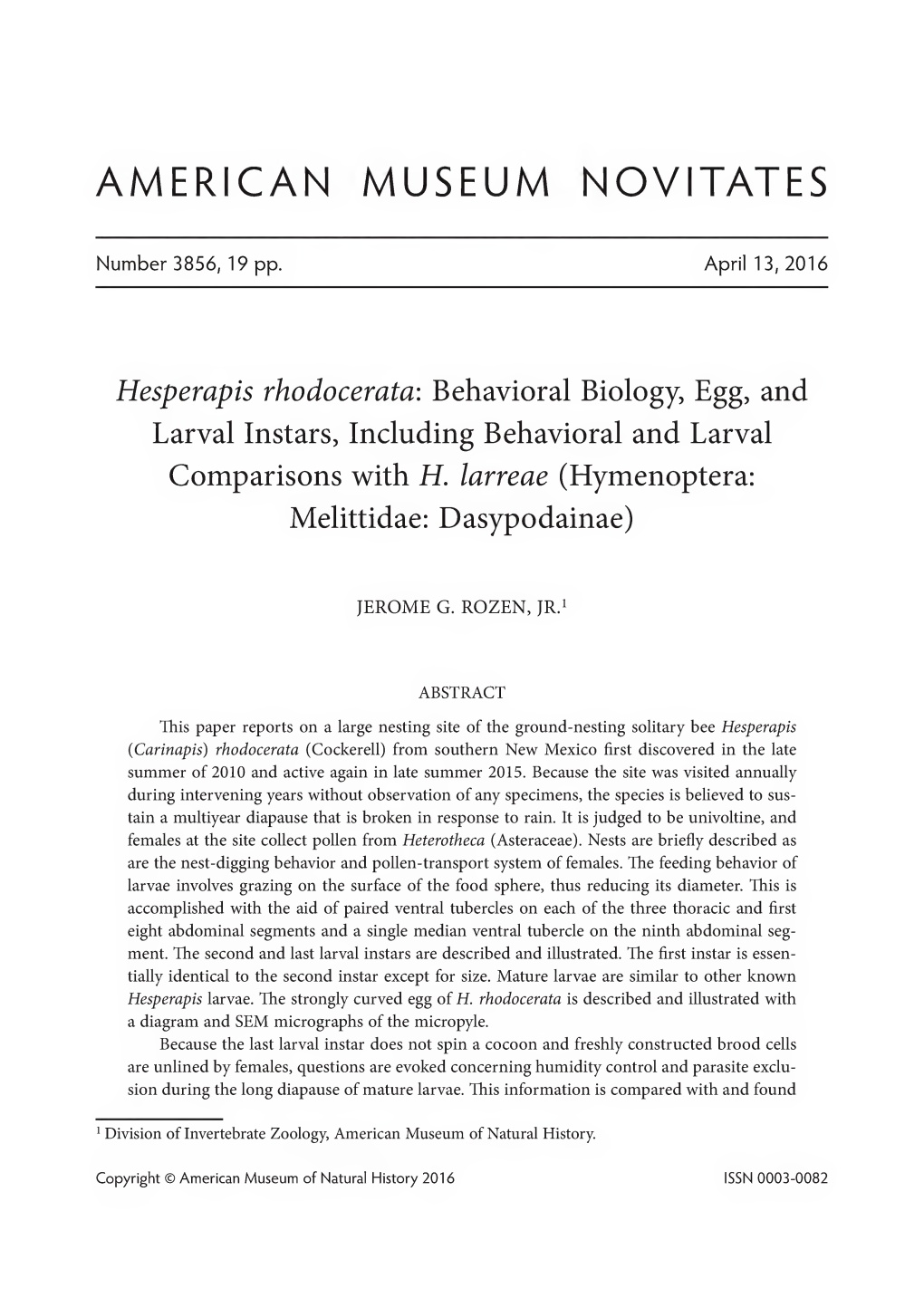 Hesperapis Rhodocerata : Behavioral Biology, Egg, and Larval Instars