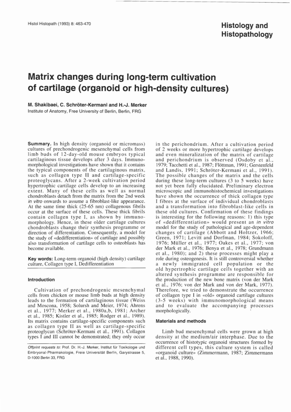 Matrix Changes During Long-Term Cultivation of Cartilage (Organoid Or High-Density Cultures)