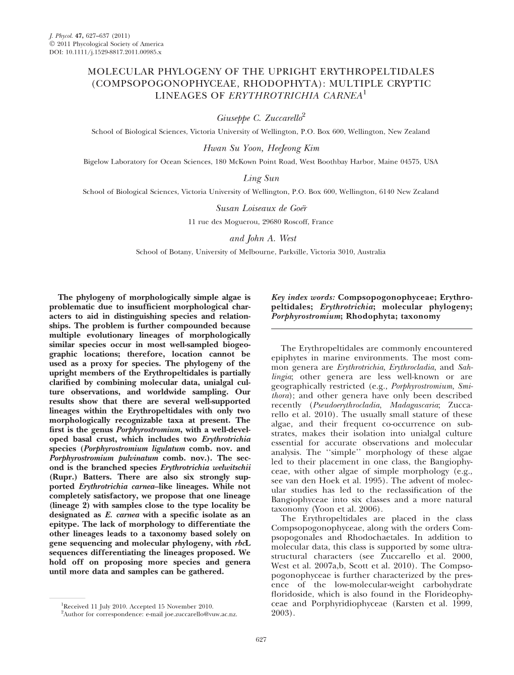 Molecular Phylogeny of the Upright Erythropeltidales (Compsopogonophyceae, Rhodophyta): Multiple Cryptic Lineages of Erythrotrichia Carnea1