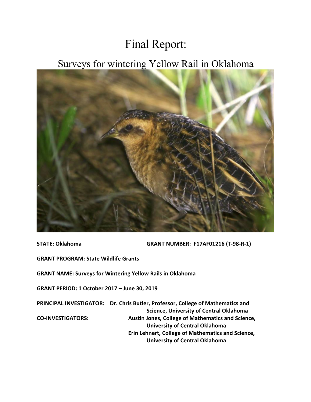 Surveys for Wintering Yellow Rails in Oklahoma