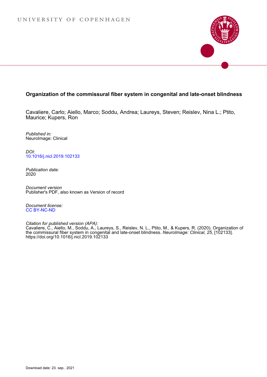 Organization of the Commissural Fiber System in Congenital and Late-Onset Blindness