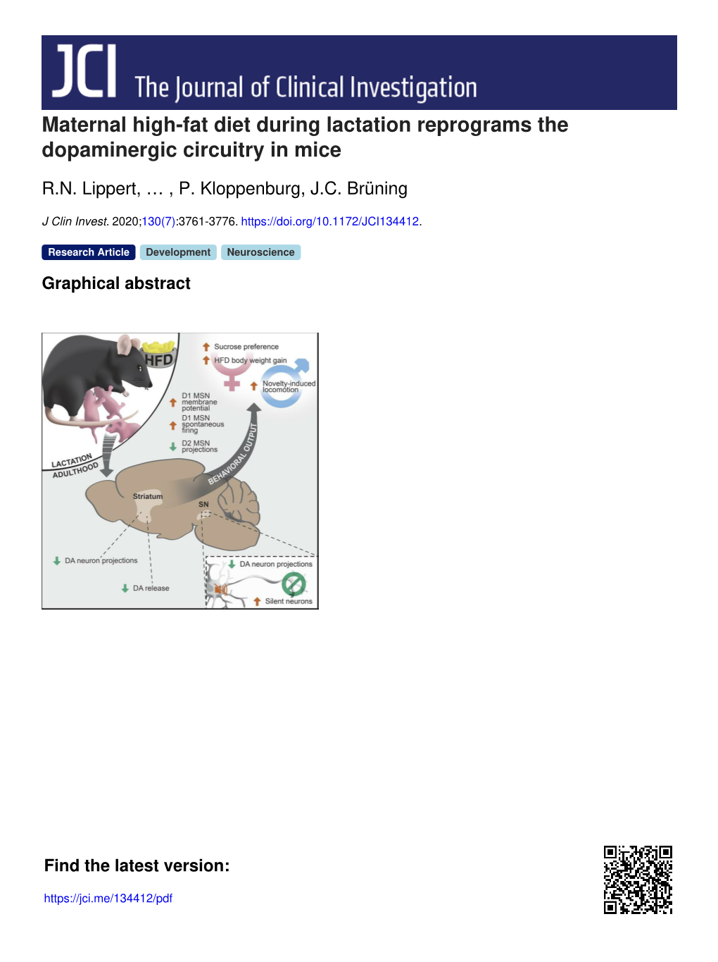 Maternal High-Fat Diet During Lactation Reprograms the Dopaminergic Circuitry in Mice