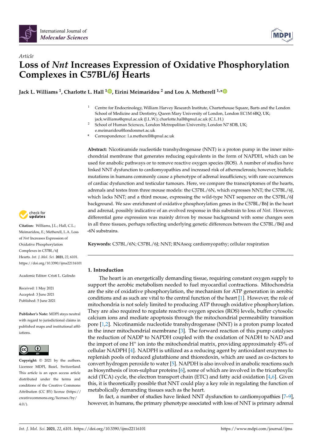 Loss of Nnt Increases Expression of Oxidative Phosphorylation Complexes in C57BL/6J Hearts