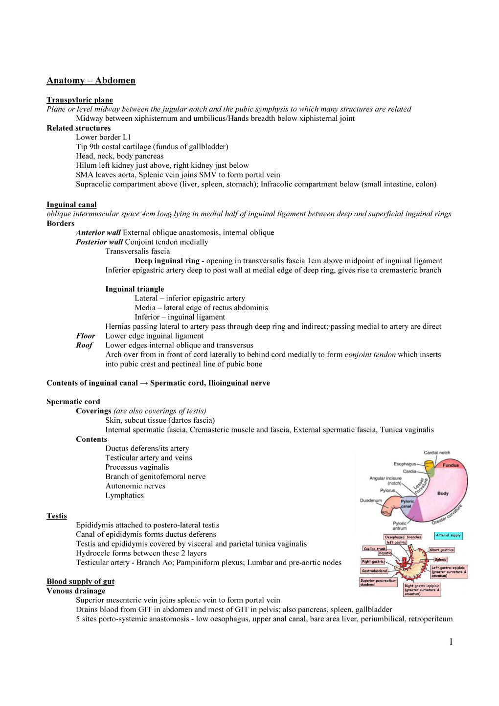 1 Anatomy – Abdomen