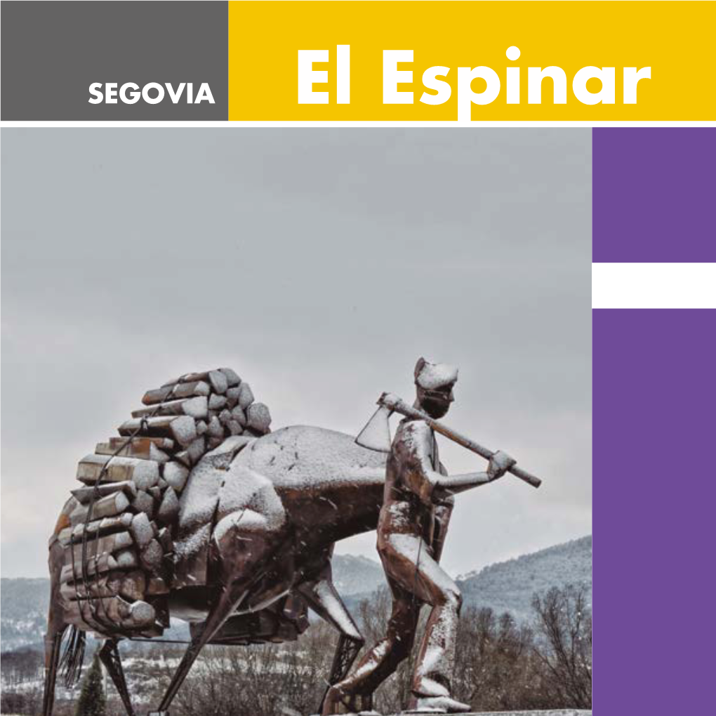 El Espinar El Espinar Introducción General