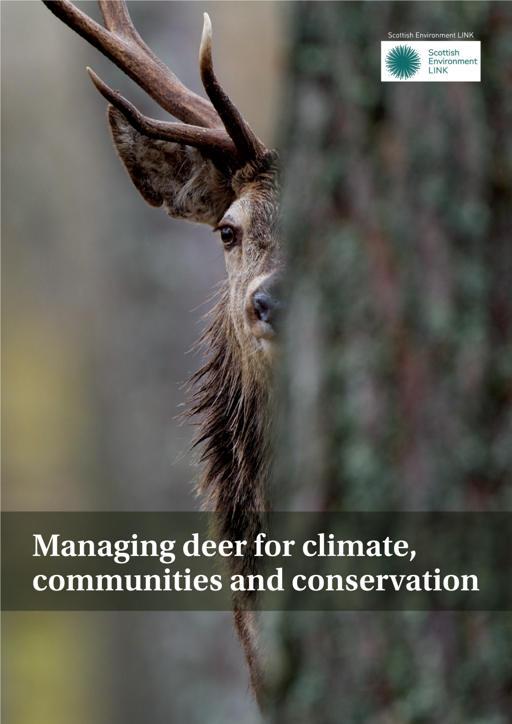 Managing Deer for Climate, Communities and Conservation