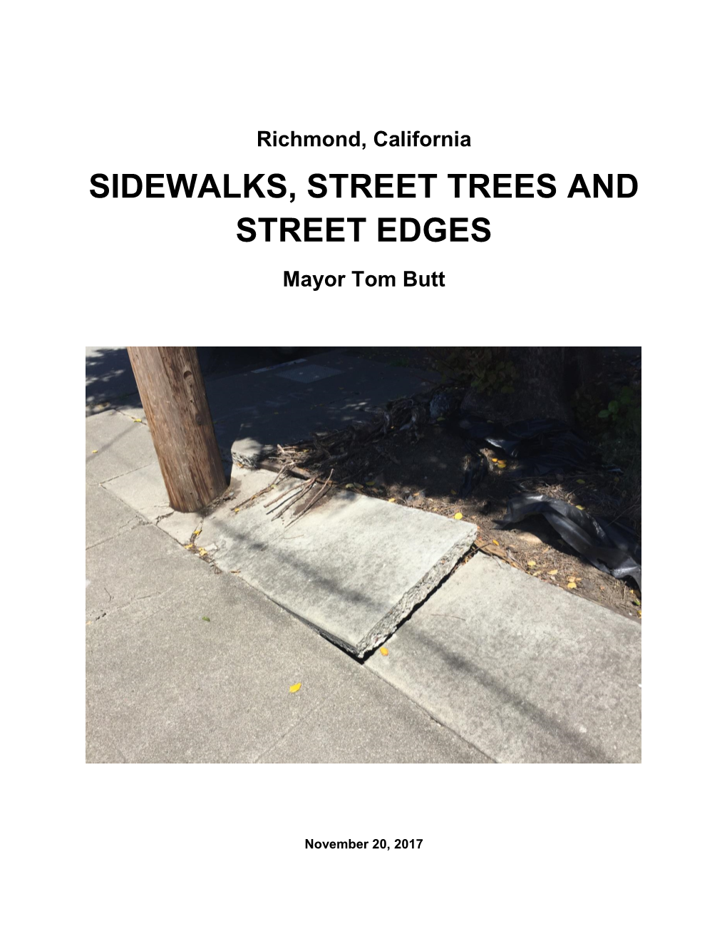 SIDEWALKS, STREET TREES and STREET EDGES Mayor Tom Butt