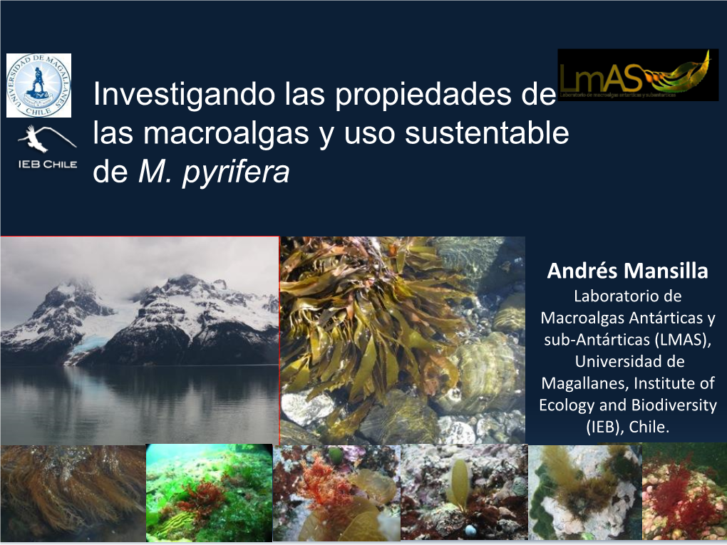 Investigando Las Propiedades De Las Macroalgas Y Uso Sustentable De M. Pyrifera