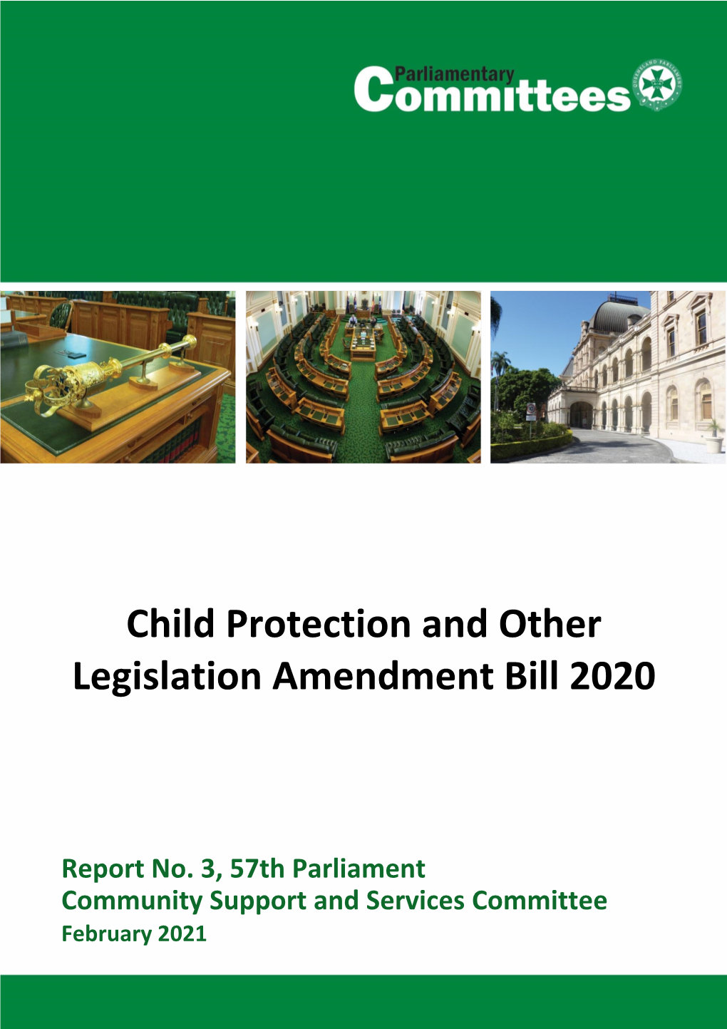 Child Protection and Other Legislation Amendment Bill 2020