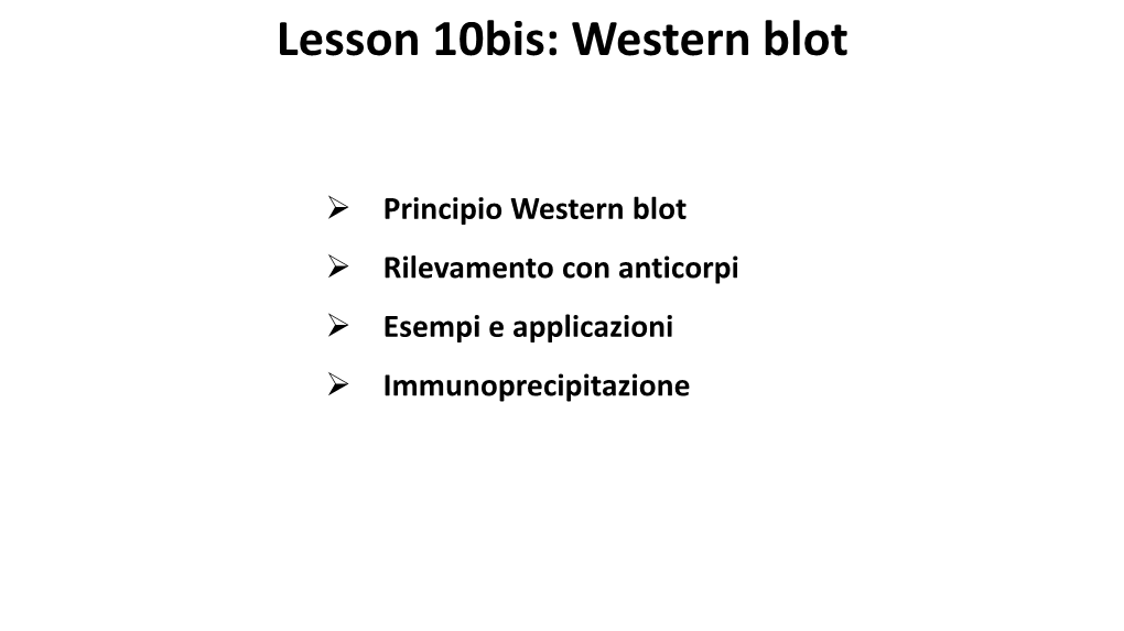 Lesson 10Bis: Western Blot