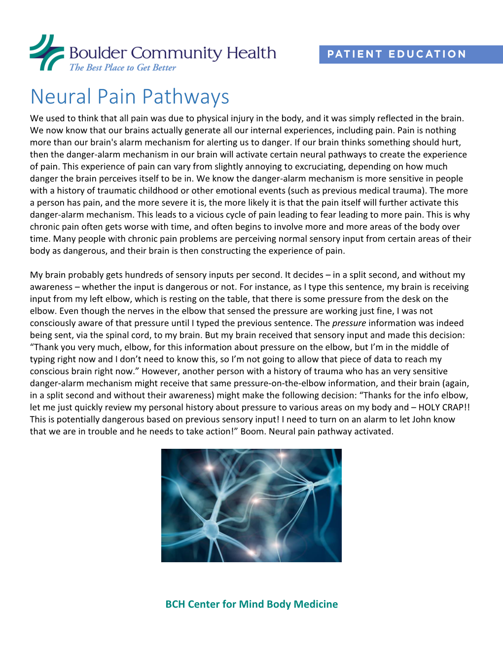 Neural Pain Pathways We Used to Think That All Pain Was Due to Physical Injury in the Body, and It Was Simply Reflected in the Brain