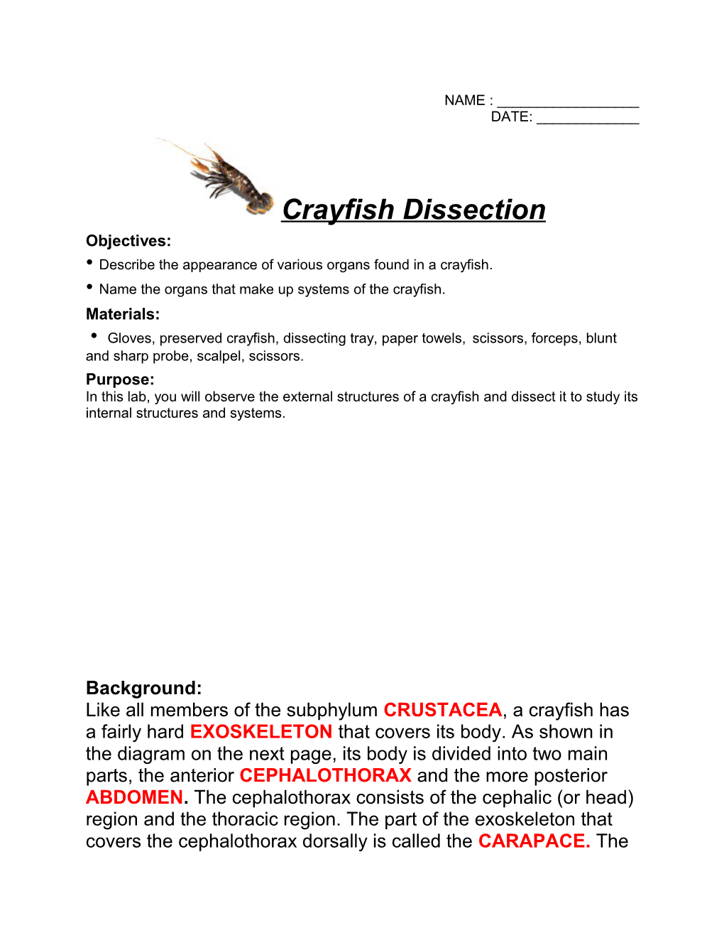 Procedure Part 1 External Anatomy of a Crayfish